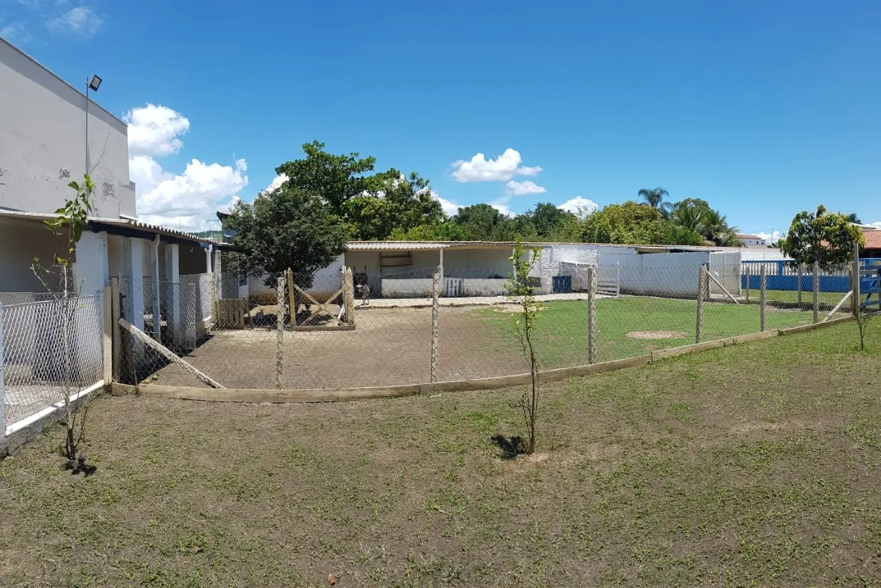 Imagem Chácara à venda 3 Quartos, 2670M², Pedro Leme, Roseira - SP