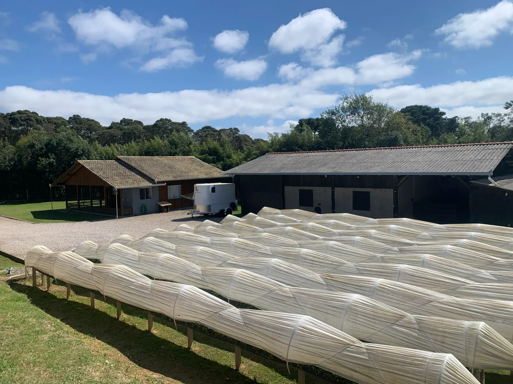 Imagem Chácara com 3 Quartos à Venda, 5000 m² em Colonia Marcelino - São José dos Pinhais