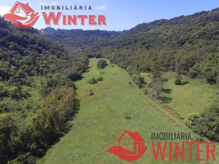 Imagem Fazenda de 61 hectares na cidade de Linha Nova.