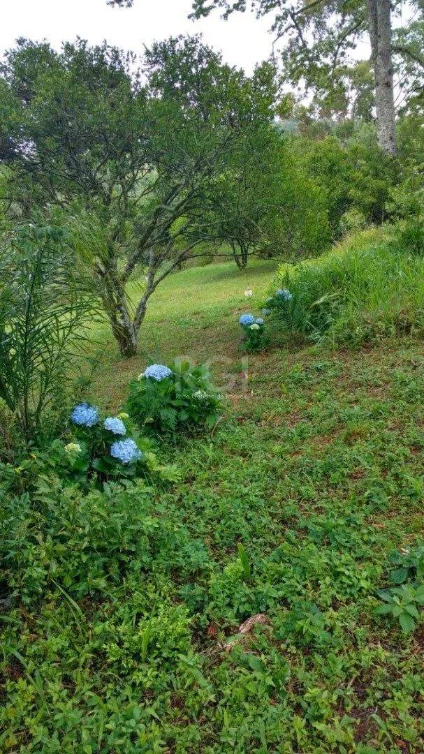Imagem Sítio para Venda - 50000m², 0 dormitórios, Viamão
