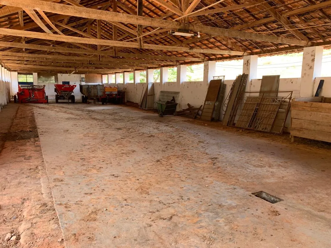 Imagem Vendo uma magnífica fazenda em Santo Antônio do Amparo/MG 318 hectares