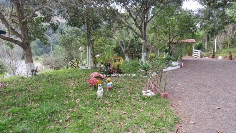 Imagem Sítio / Chácara para Venda em Alto Bela Vista, Rural