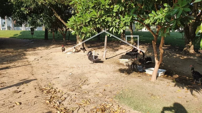 Imagem Venda Terreno | Vanessa Carrenho