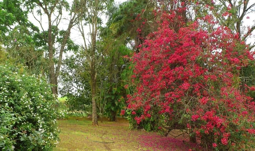 Imagem Chácara à venda 233472.24M², Zona Rural, Santa Cruz da Conceição - SP