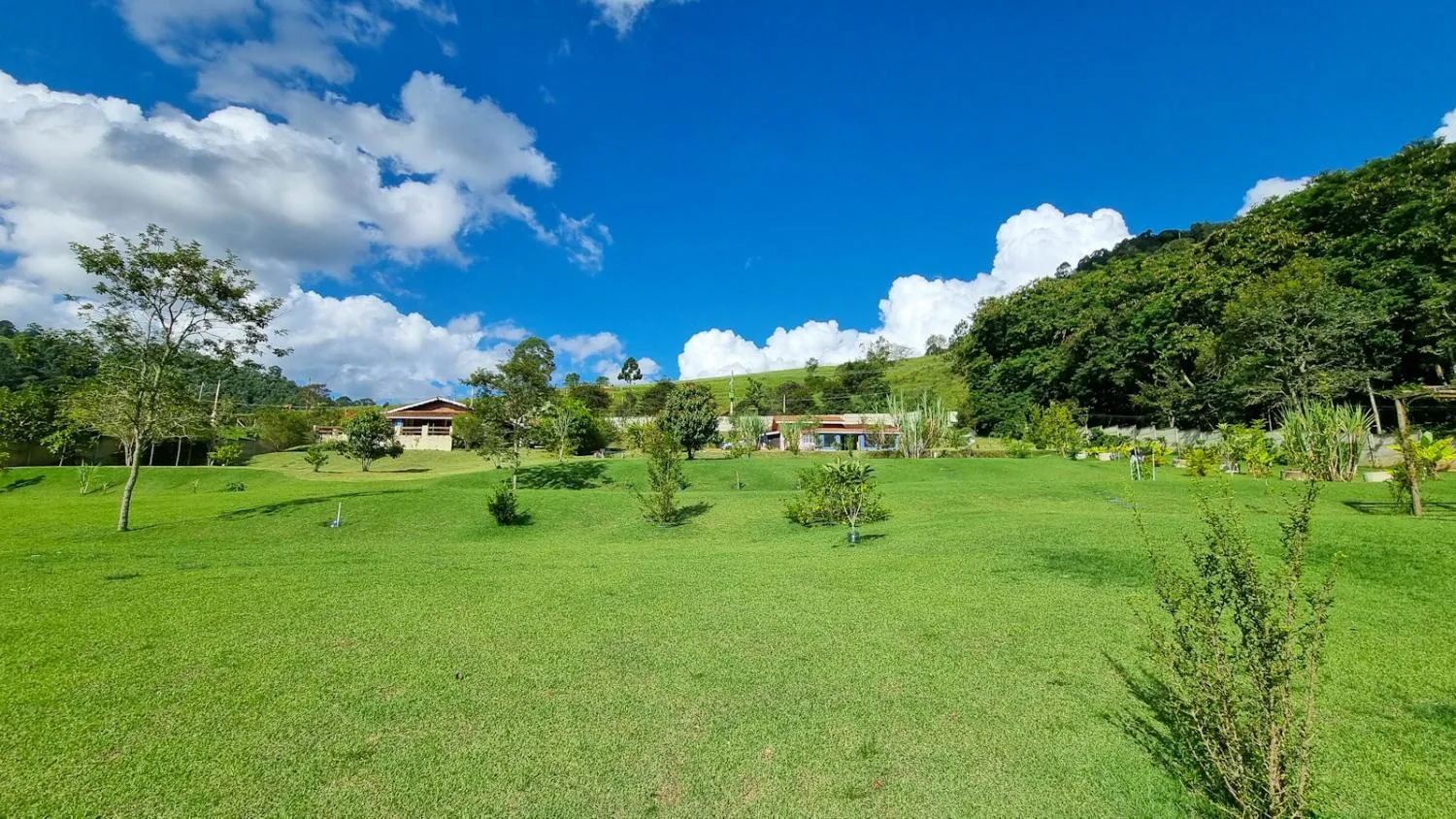 Imagem Oportunidade de Compra: Sítio/Chácara em Joanópolis, SP