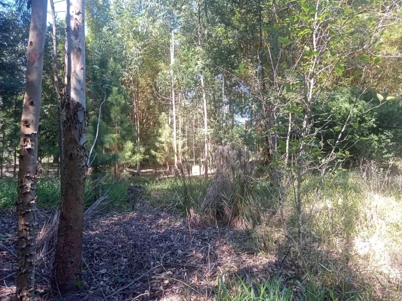 Imagem Sitio com 2.056m², em condomínio fechado, arborizado, Águas Clara, Viamão