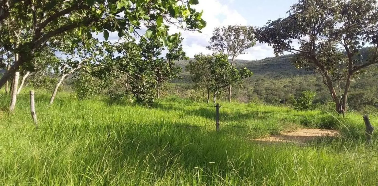 Imagem OTIMA FAZENDA A VENDA EM TRÊS MARIAS 663 HECTARES de terra