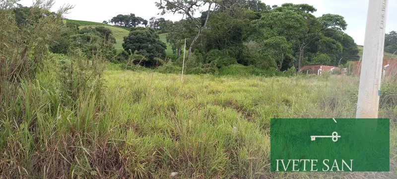 Foto do imóvel Terreno, 1560m2, à venda em Socorro em Irmãos Picarelli
