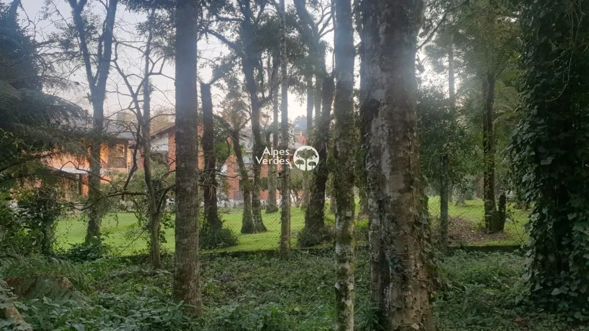 Imagem Vende-se Área com 3.995 m2 a cerca de 2 minutos da Rua Coberta