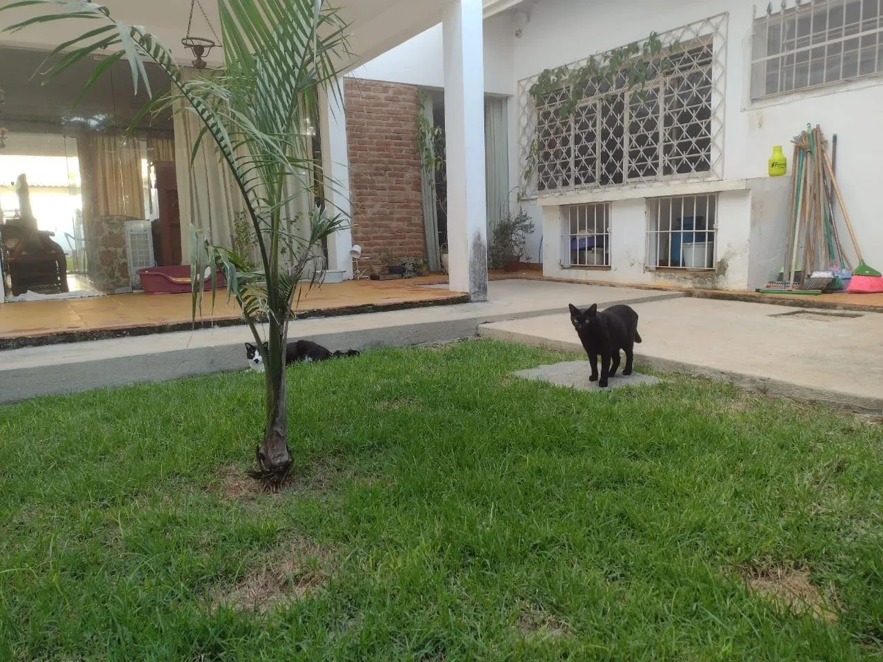 Imagem Casa à venda 4 Quartos, 1 Suite, 4 Vagas, 600M², Jardim das Nações, Taubaté - SP