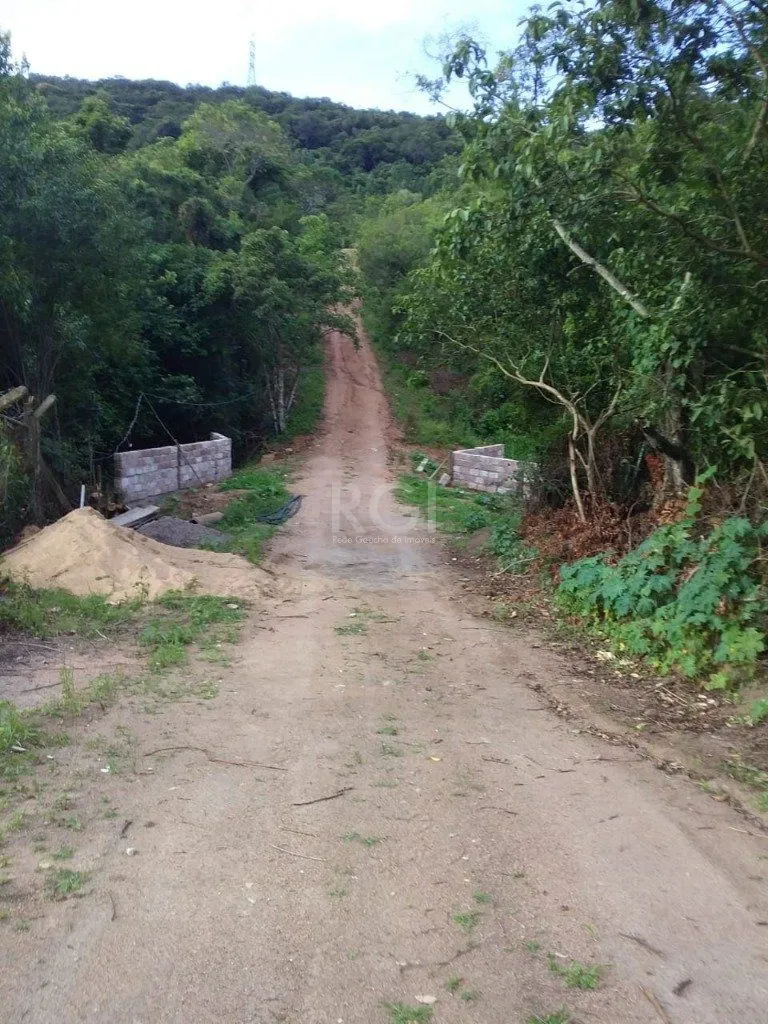 Imagem Terreno em Vila Nova
