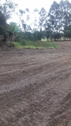 Imagem Terreno excelente a venda para Chácara com 8 mil m² no asfalto - em Quadra