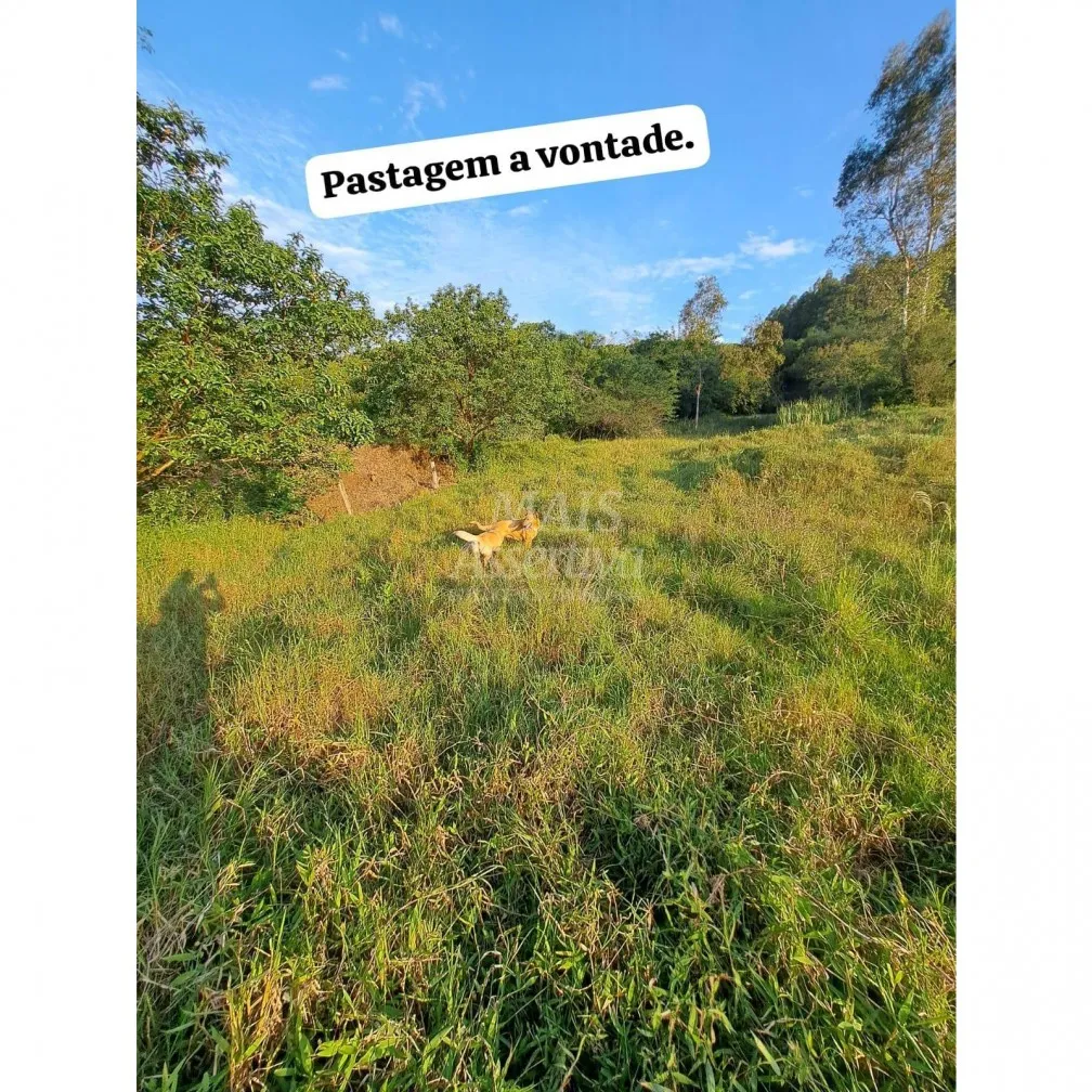 Imagem Santo Antônio da Patrulha RS - Localidade de Pinheirinhos.
R$ 270.300,00 A que busca uma área...