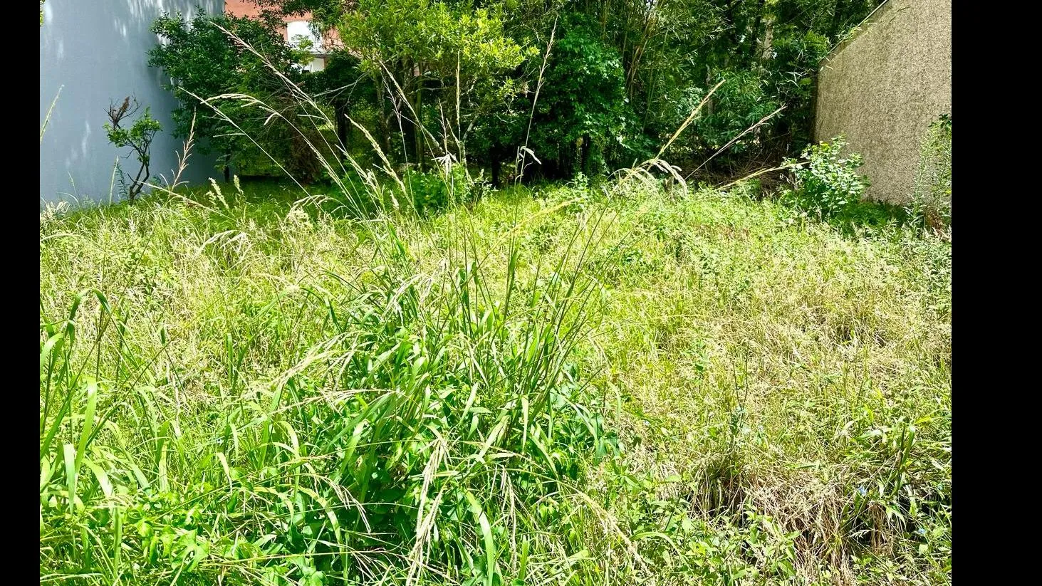Foto do imóvel Terreno à venda em Caxias do Sul, Petrópolis, 334.5m2