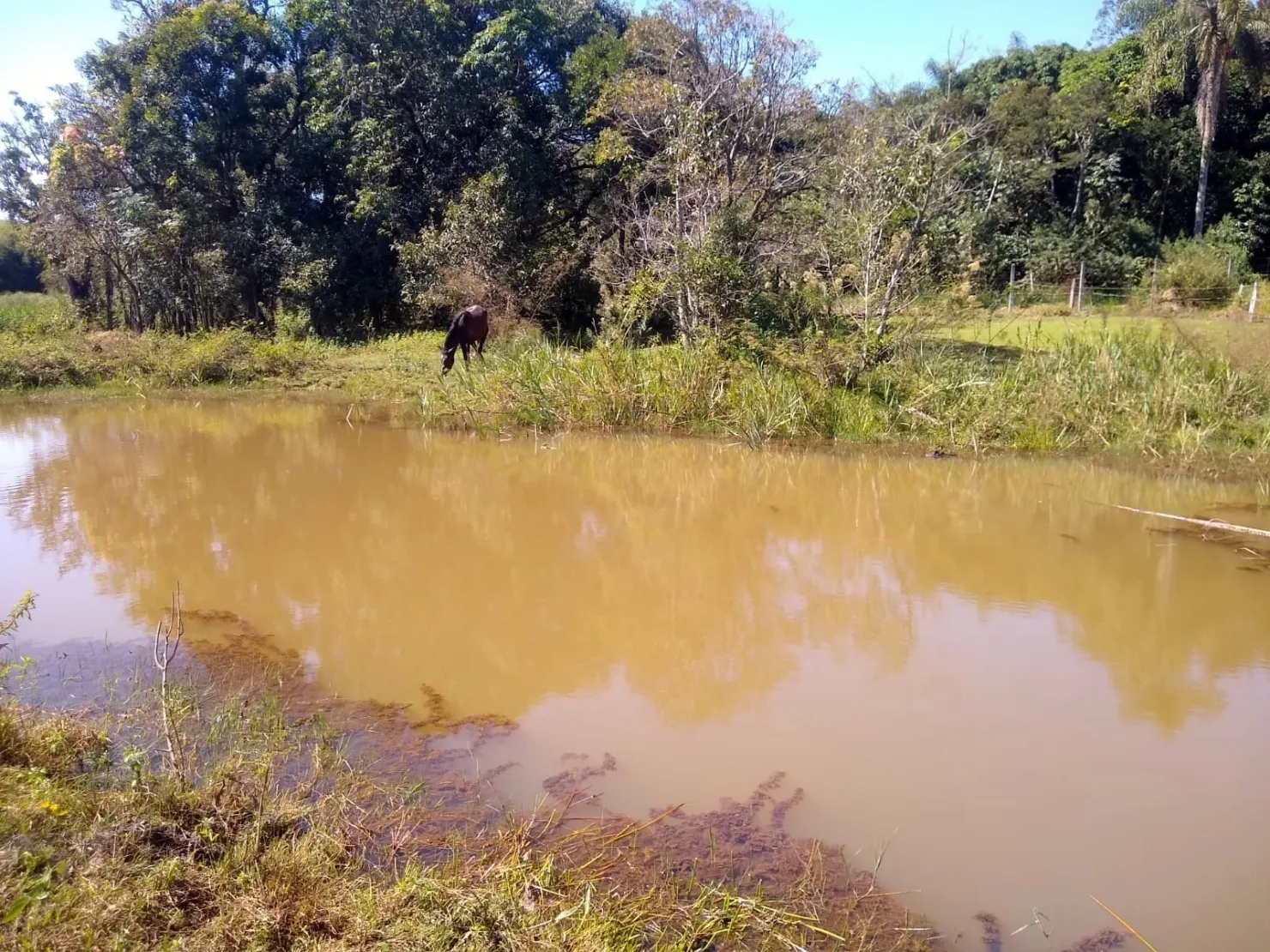 Foto do imóvel Chácara à venda, Bosque dos Ipês, Guaratinguetá, SP