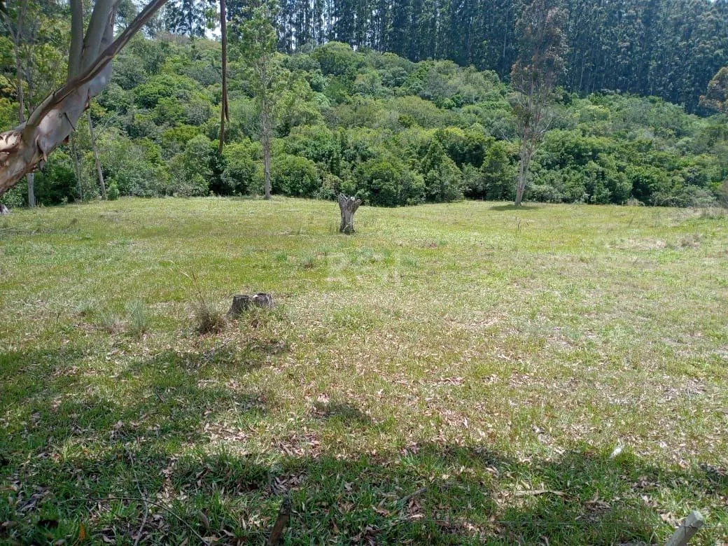 Imagem Sítio em Florida
