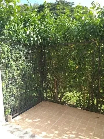 Imagem Apartamento à venda 3 Quartos, 1 Suite, 2 Vagas, 70M², Parque São Luís, Taubaté - SP | Condomínio Villa Romana