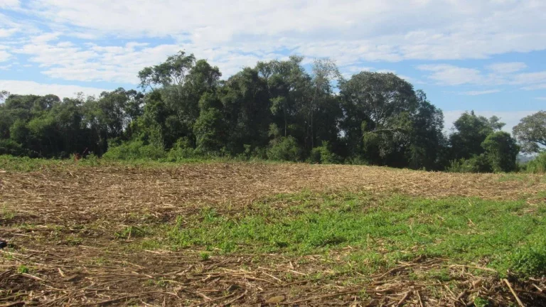 Imagem Área Agrícola para Venda em Concórdia, Barra do Pinhal