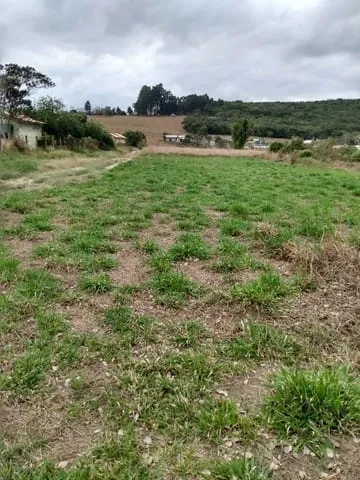 Imagem Terreno à venda 1000M², Granjas Rurais Reunidas São Judas Tadeu, Taubaté - SP
