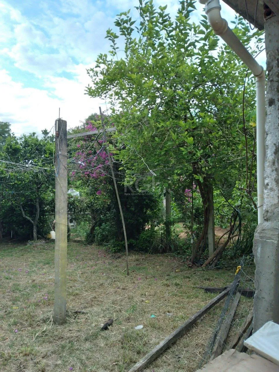 Imagem Casa em Belém Novo