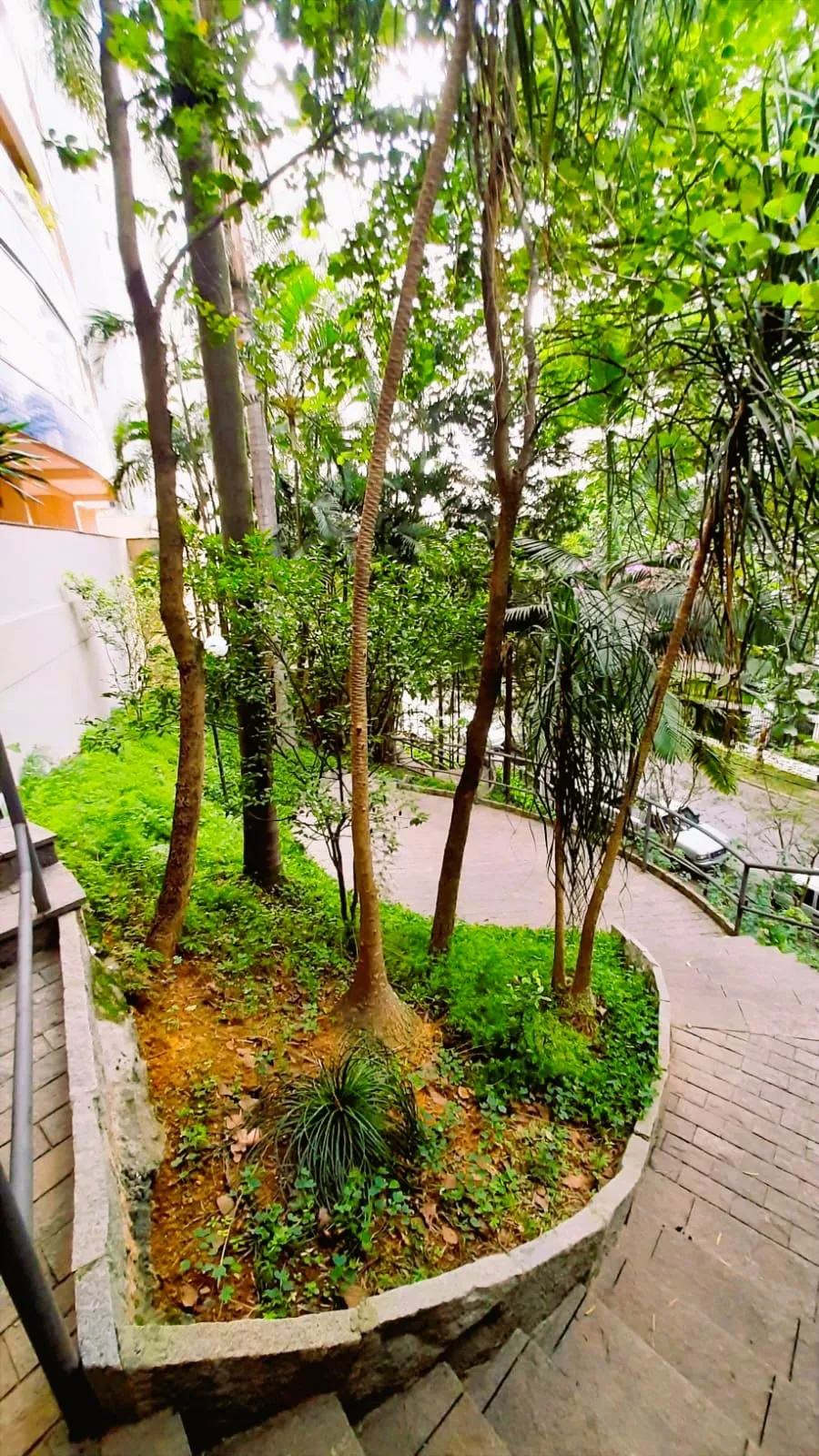 Imagem VENDO LINDO APARTAMEENTO NO BAIRRO VILA ANDRADE-MORUMBI!