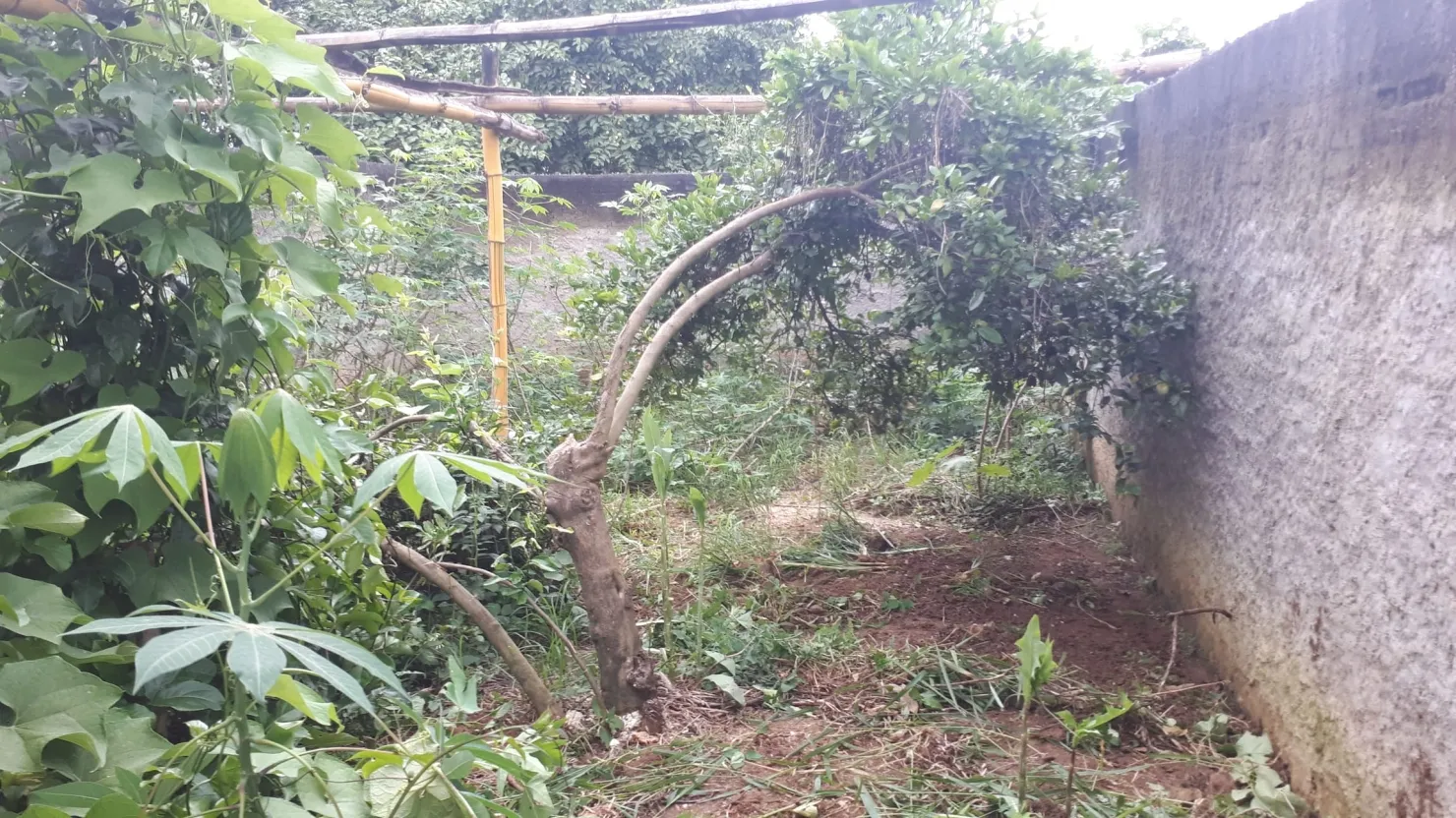Imagem Casa à venda 2 Quartos, 2 Vagas, 210M², Vila São João, Pindamonhangaba - SP