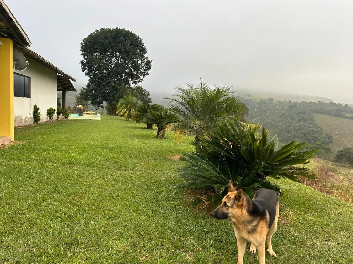Imagem Belíssima Chácara à Venda em Crucilândia/MG , com 3.000 m² de terreno