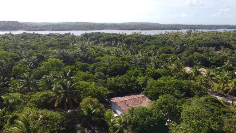 Imagem PARAÍSO ESCONDIDO NO CASSANGE