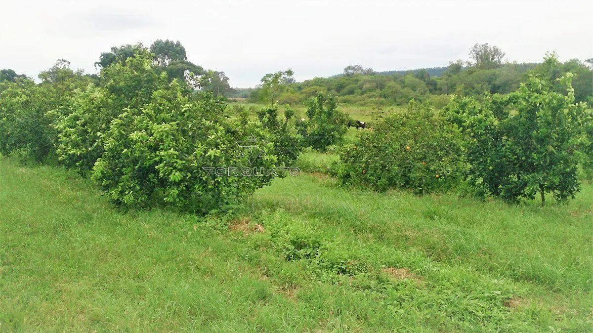 Imagem Seu Sonho Rural em Conchal: Propriedade de 72.600 m² com Infraestrutura Completa!