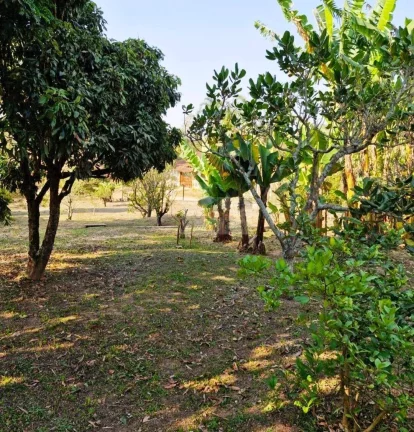 Imagem CHÁCARA JARDIM CANANÉIA