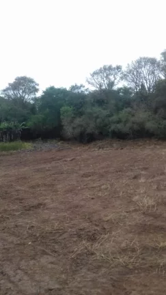 Imagem Terreno excelente a venda para Chácara com 8 mil m² no asfalto - em Quadra