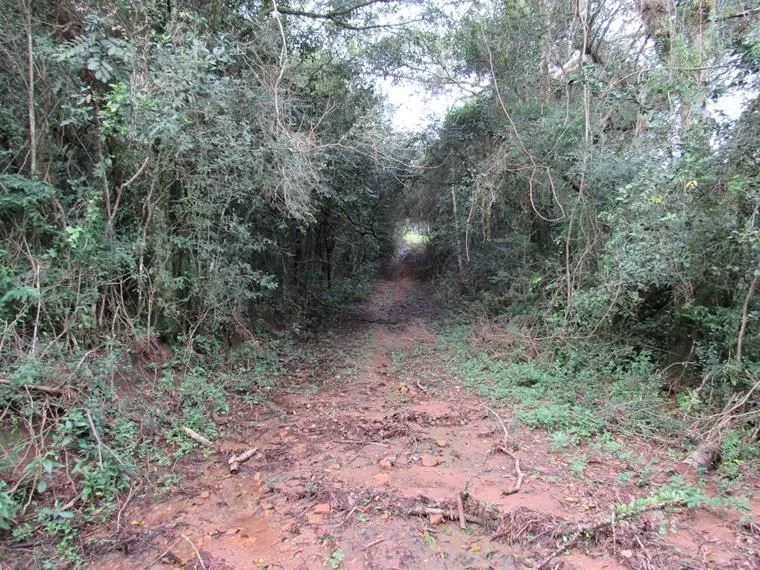 Imagem Área 53851,44 m² no Beco da Paixão Bairro Lomba do Pinheiro