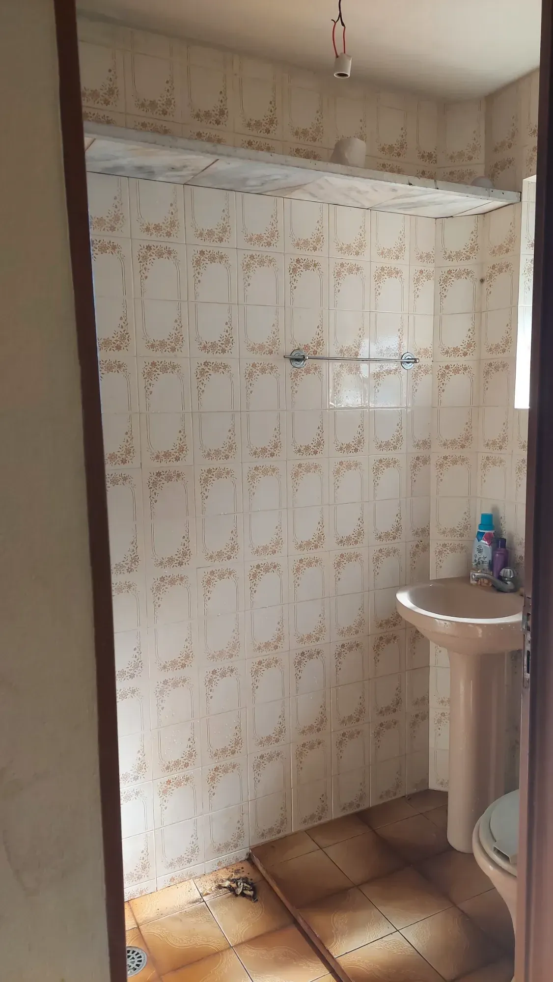 Imagem Casa com 3 Quartos à Venda, 172 m² em Núcleo Residencial Presidente Geisel - Bauru