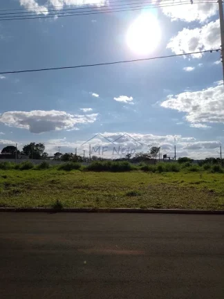 Imagem Terreno Padrão