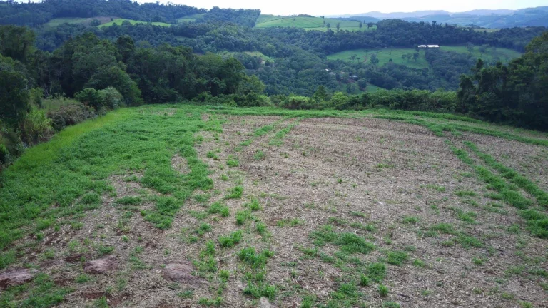 Imagem Área Agrícola para Venda em Concórdia, Rancho Grande
