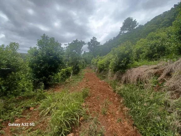 Imagem Terreno para Venda em Concórdia, Santo Antônio