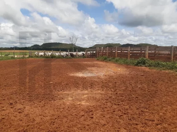 Foto do imóvel CASAL IMÓVEIS VENDE FAZENDA 4.095 ALQUEIRES - ARAGUAÍNA/TOCATINS