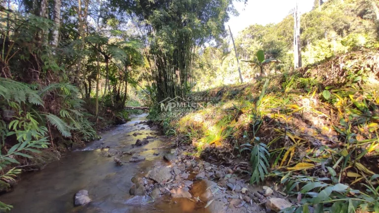 Imagem VENHA CONHECER O PARAÍSO NOVA TRENTINO! SÍTIO RECANDO DA ESPERANÇA Você está em busca de um refúgio tranquilo, próximo à natureza