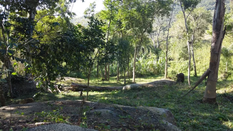 Imagem Terreno Espaçoso em Macacu, Garopaba-SC: 20 mil m², Vista para Lagoa e Mar