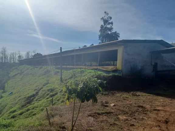 Imagem Área Agrícola para Venda em Concórdia, Interior