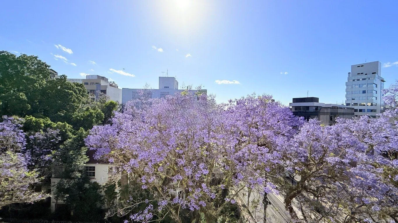 Imagem Apartamento de 3 dormitórios à venda no Bairro Petrópolis, Porto Alegre.