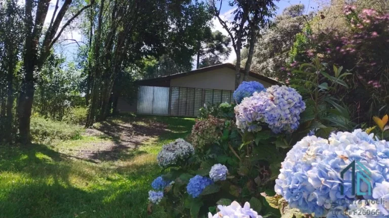 Imagem Sitio a venda 20 alqueires no Município de Pinhão - PR