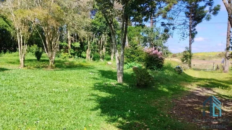 Imagem Sitio a venda 20 alqueires no Município de Pinhão - PR