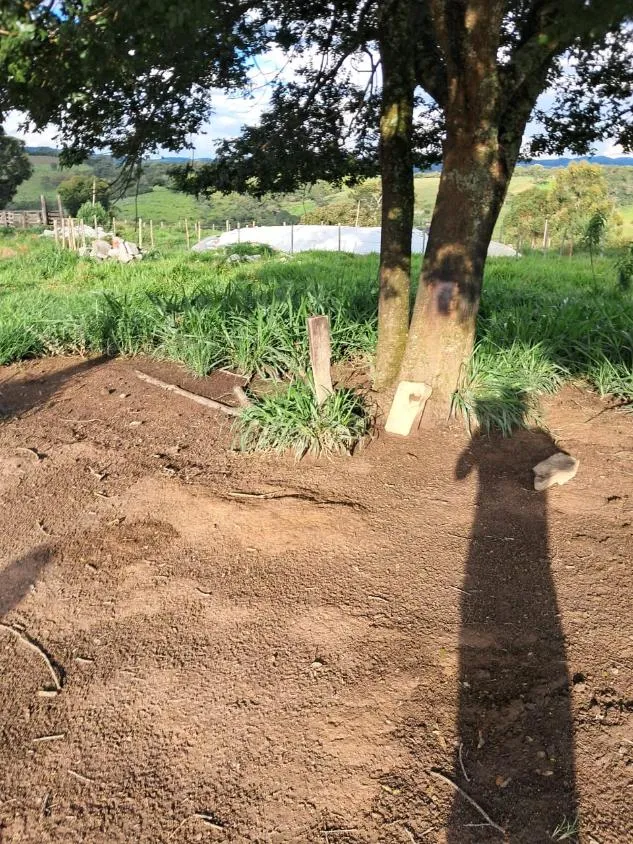 Imagem VENDE-SE FAZENDA EM PASSA TEMPO / MG área total de 100 hectares