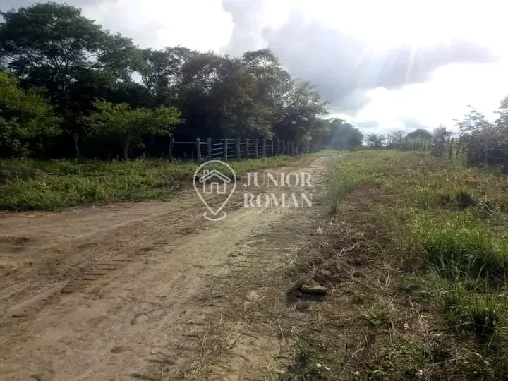 Imagem FAZENDA - 91,5 HECTARES - CRISTOPOLIS/BA