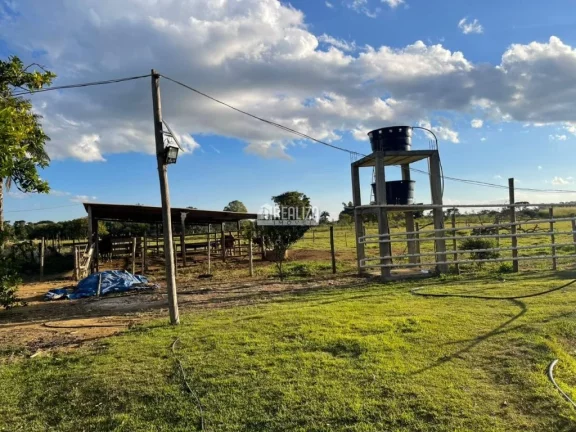 Imagem Chácara à venda na Área Rural de Uberaba - Ótima oportunidade!