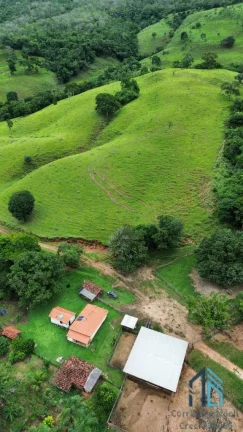 Imagem Fazenda a venda 82 alqueires em Campinacu -Goiania - GO