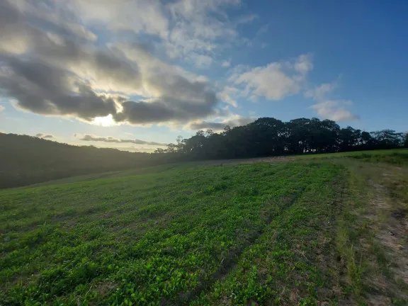 Imagem Terreno à Venda, 500 m² em Jardim Felicidade (Zona Norte) - São Paulo