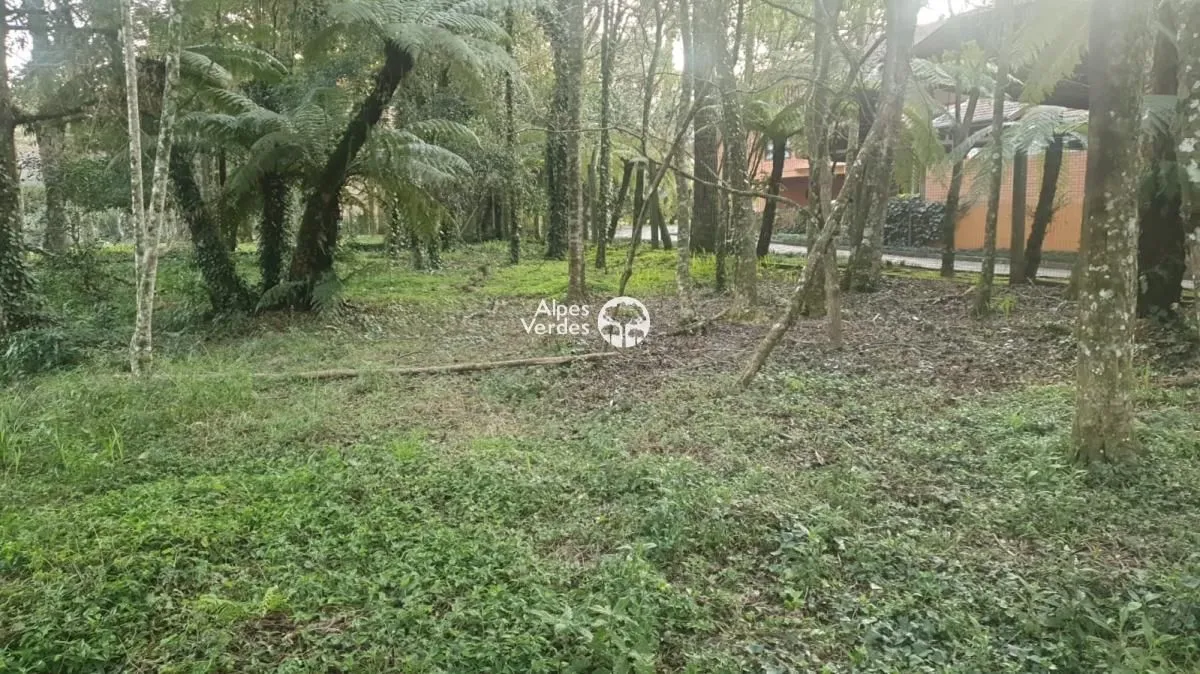 Imagem Vende-se Área com 3.995 m2 a cerca de 2 minutos da Rua Coberta
