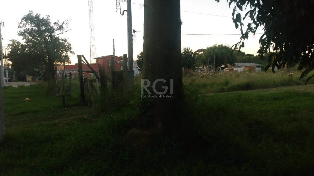 Imagem Terreno em Restinga